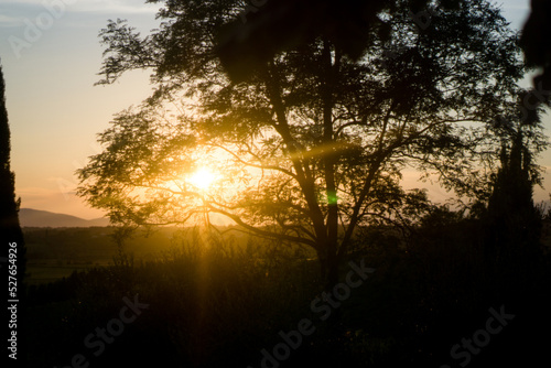 Firenze, Tuscany, Italy 08-26-2022. Details of the Santa Maria Novella church, a masterpiece of the Italian Renaissance