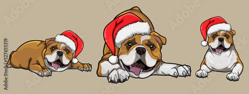  Bulldog Cartoon Dog collection. Vector Illustration Of Purebred Christmas Bulldog Dog. vector cartoon illustration