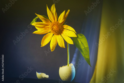 yellow flowers in vase