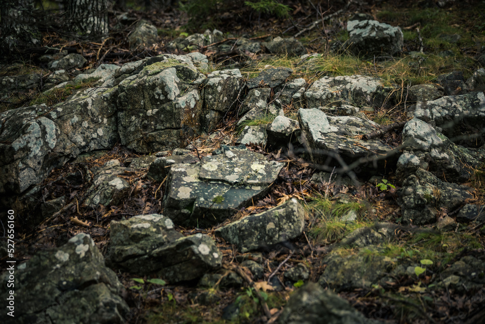 moss covered rocks