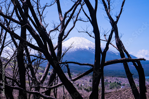 山中湖パノラマ台からの富士山２０２２