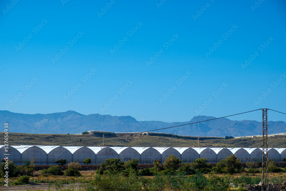 Polycarbonate multitunel type greenhouses in Almeria-Spain