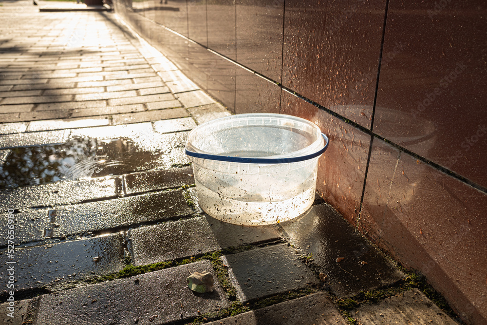 A bucket beneath an air conditioner collecting fresh water for reuse, for example, for homeless animals who suffer from heat in a dry hot summer.