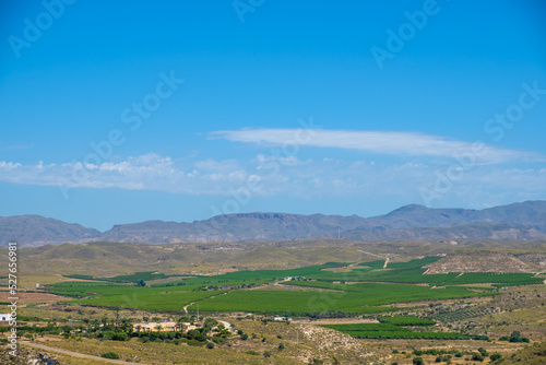Rainfed farming converted to irrigation in Almería (Andalusia, Spain, Europe)