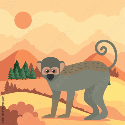 titi monkey in landscape