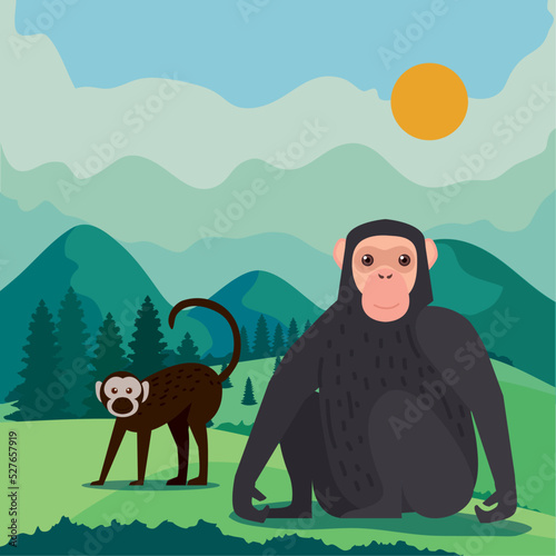 bonobo and macaque monkeys