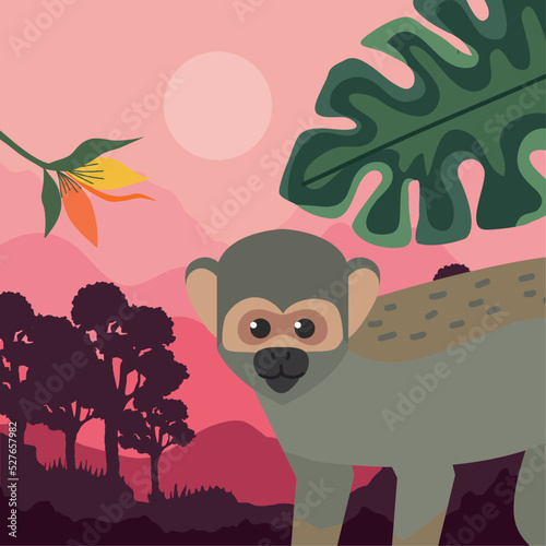 titi monkey and leafs