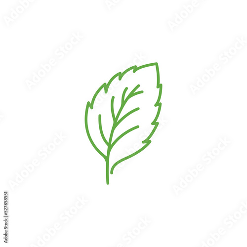 Mint leaves linear icon. Leaf vector illustration. Green mint leaves ecology nature linear element vector icon  Leaf linear Icon  mint leaves logo vector illustration