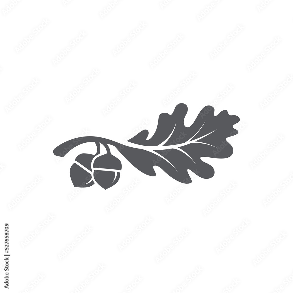 Oak leaf with acorns icon. Oak leaf logo design template. Oak leaf with acorns graphic vector. Vector illustration