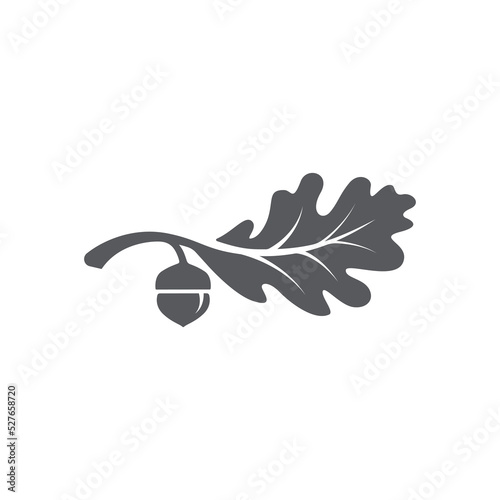 Oak leaf with acorns icon. Oak leaf logo design template. Oak leaf with acorns graphic vector. Vector illustration photo
