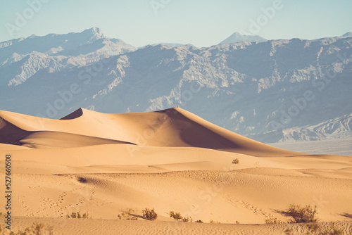 Fototapeta Naklejka Na Ścianę i Meble -  Dunes
