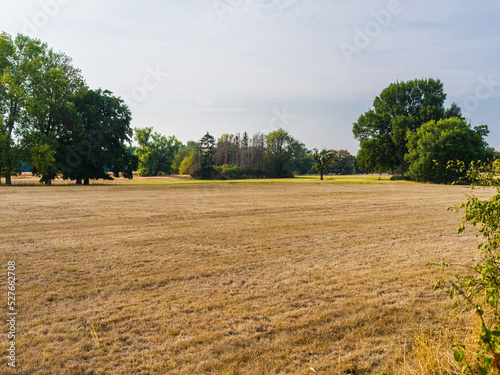 Parched meadow and trees in a meadow landscape in late summer.