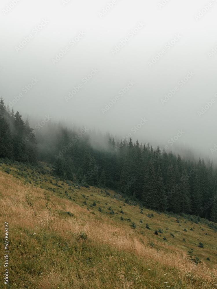 misty morning in the mountains misty morning in the mountains