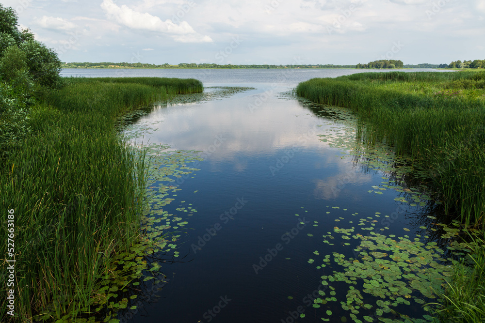 Tranquil scene with a reflection of sky in water and some water-lily on a lake in Ludza, Latvia