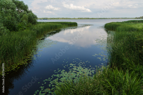 Tranquil scene with a reflection of sky in water and some water-lily on a lake in Ludza, Latvia