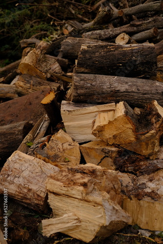 Stacked chopped wood for the winter with sun shine.