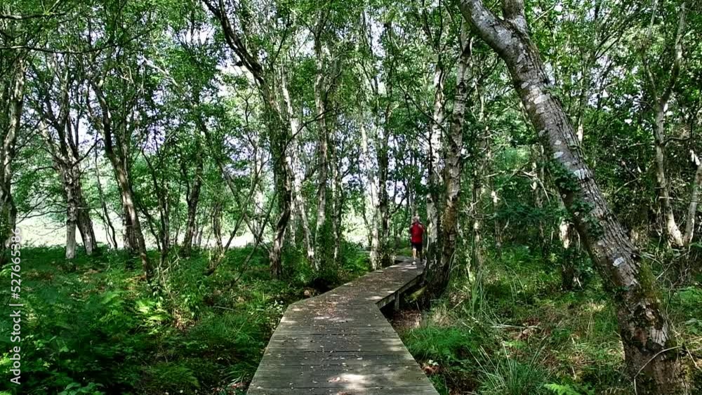Randonneur dans les sous-bois en Bretagne