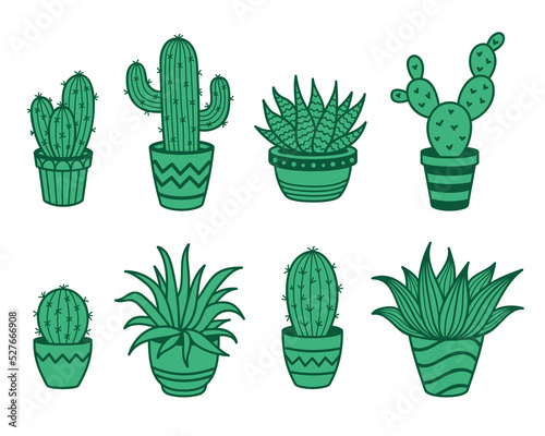 Vector set of wild cacti in pots. Cute dessert plants. Haworthia, Carnegiea, Sanseviearia, Rebutia, Opuntia