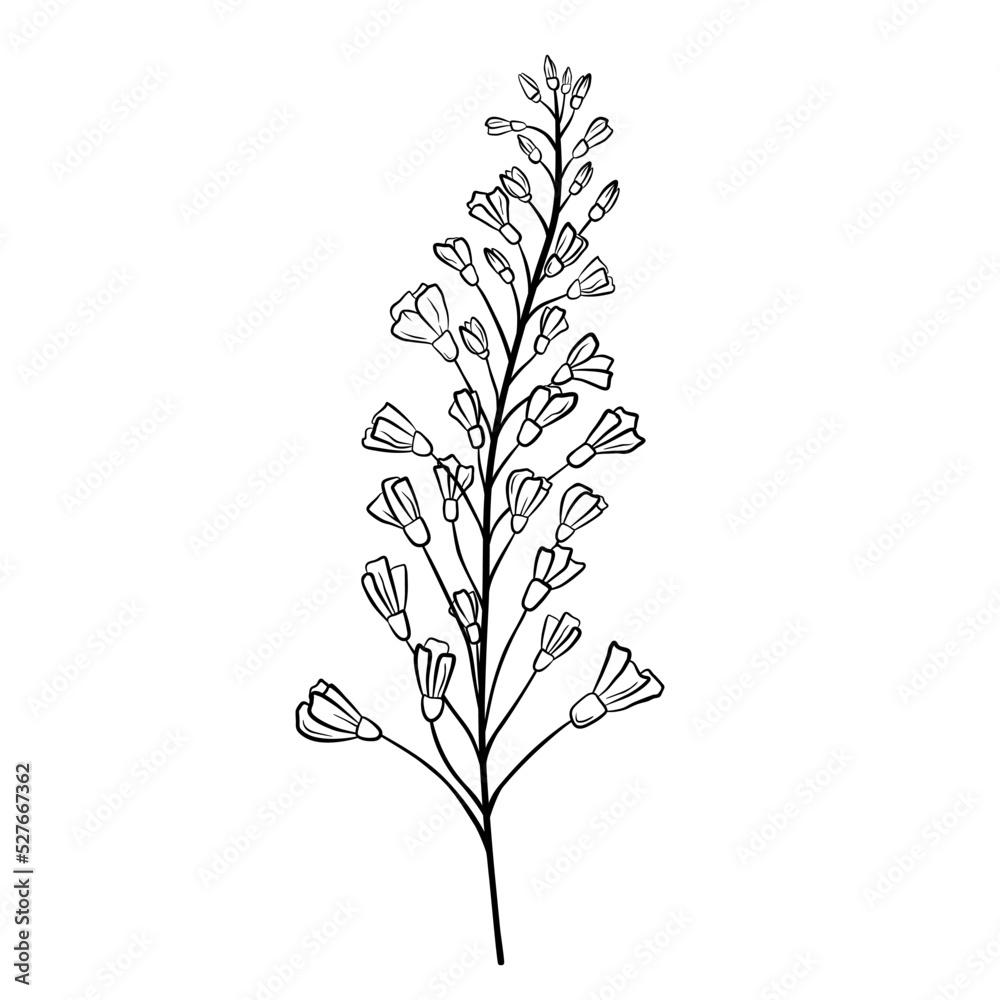 Fototapeta premium Hand drawn flower isolated on white background. Decorative doodle sketch illustration. Vector floral element.