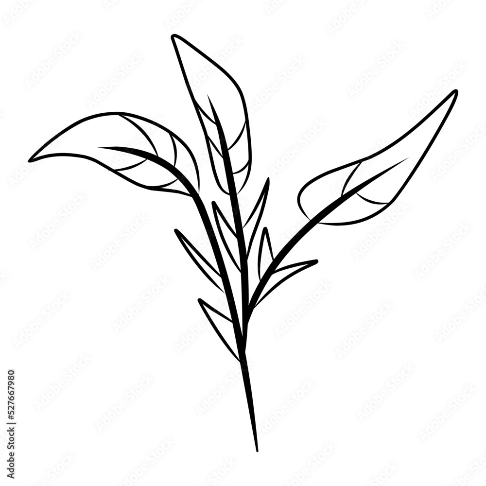 Fototapeta premium silhouette illustration of tree branches, twigs, palm leaves, and plants