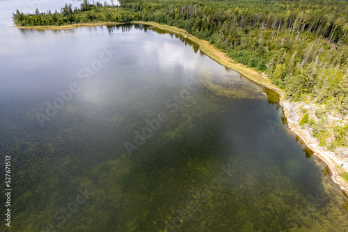 The shore of a forest lake. Aerial top view.