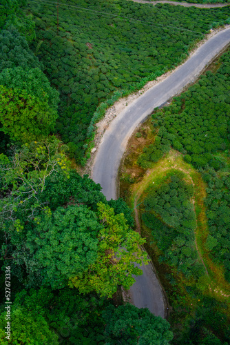 areal view of the zigzag road in greenery