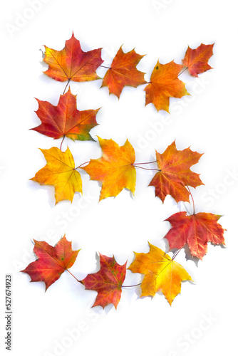 Number 5 from of colorful autumnal maple leaves on white background. Top view, flat lay