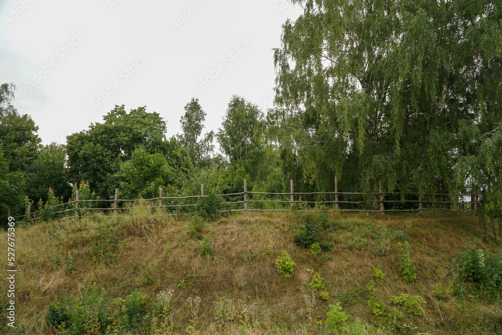 Obraz premium landscape with trees