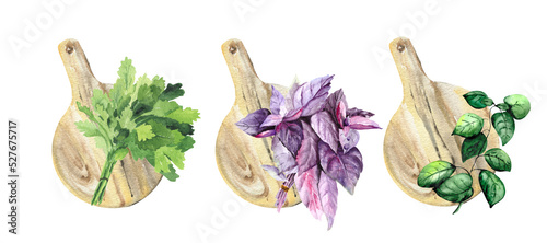 Watercolor drawing: green and purple basil, a bunch of parsley on the background of wooden cutting boards for kitchen design, books, textiles, office and packaging.