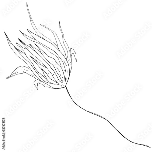 Wedding line pencil flowers and leaves.
