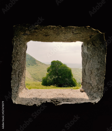 Tree and green hill in small window