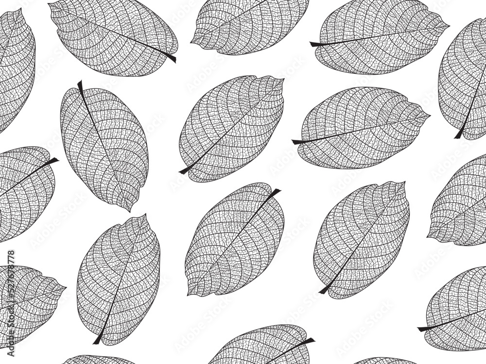 Vector illustration of leaves. Patterns of skeletal leaf cells, foliage branches, leaf veins for creative banner design.