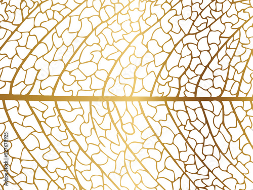 Vector illustration of gold leaves. Patterns of skeletal leaf cells, foliage branches, leaf veins for creative banner design.