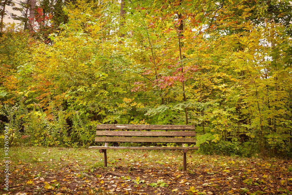 Bench in the park in autumn