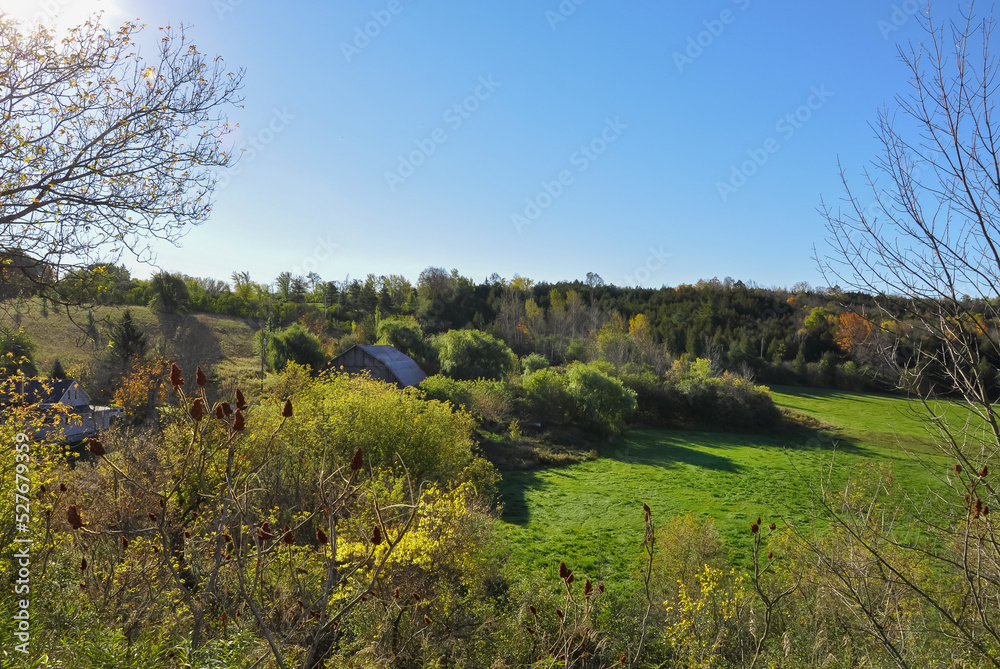 Landscape with trees at the field in autumn