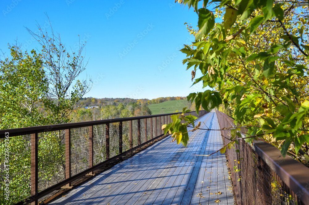Bridge with autumn landscape