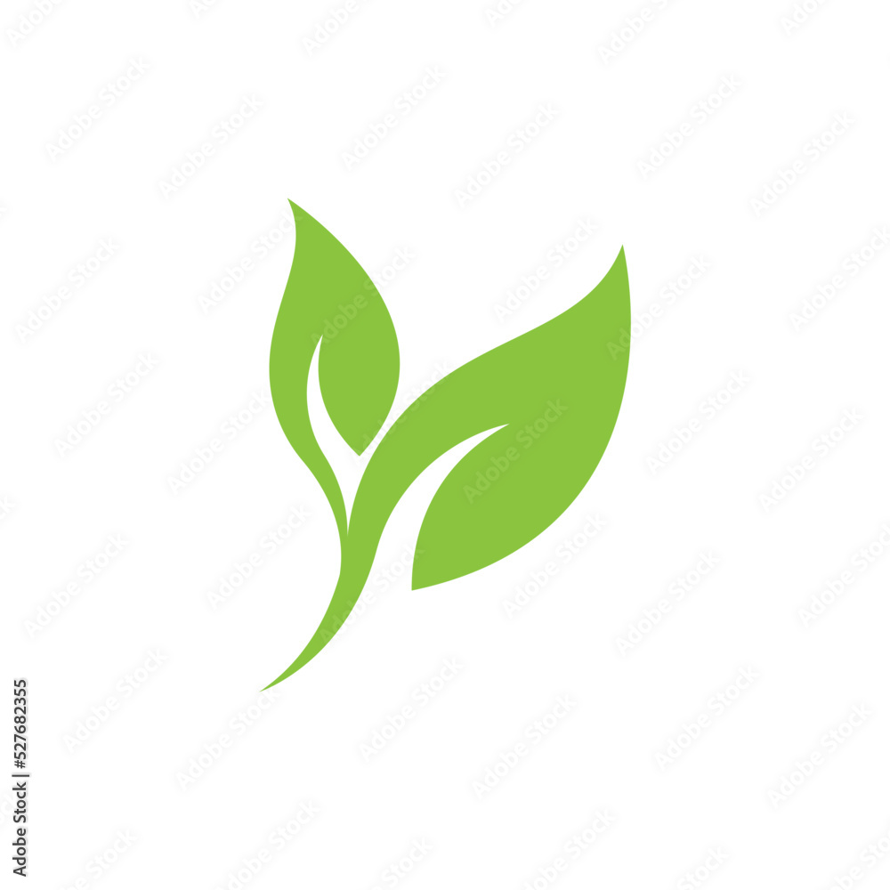 Fototapeta premium Green leaf logo