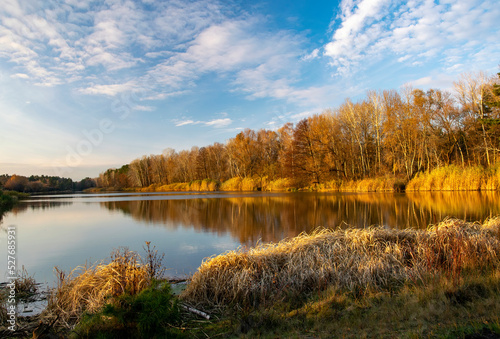 Fototapeta Naklejka Na Ścianę i Meble -  Autumn scenery with beautiful trees reflected in calm water of the lake.