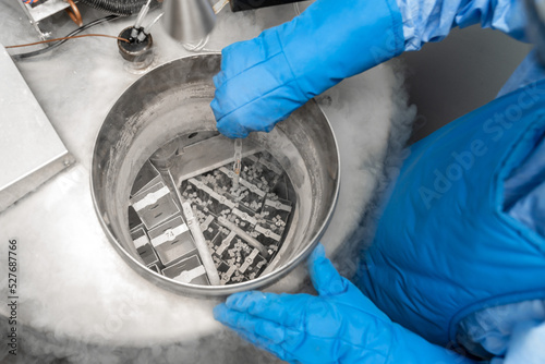 Cuadro en lienzo Embryologists a Liquid Nitrogen Bank Containing Sperm and Eggs Samples
