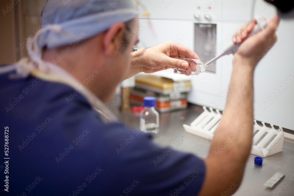 Sperm and Eggs Samples - ivf - in vitro fertilization, egg freezing or working with Micro Pipette vaccine, treatment or medicine research. IVF laboratory embryo biotechnology fertility treatment Sperm and Eggs Samples - ivf - in vitro fertilization, egg freezing or working with Micro Pipette vaccine, treatment or medicine research. IVF laboratory embryo biotechnology fertility treatment