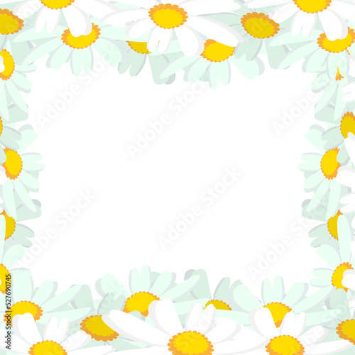 Flower frame. Floral frame with Daisy flowers on transparent. Botanical design for cards, invitations, stationery, nursery decor, baby shower.
