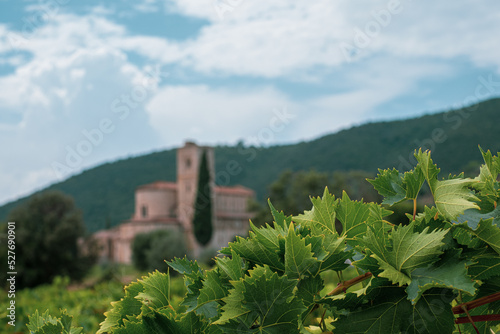 фотографія sant'antimo abbey in Tuscany, scenic typical Tuscan landscape with green cypress