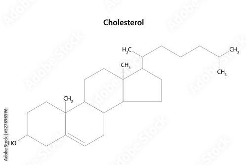 Cholesterol molecule. Structural formula. Essential component of cell membranes and precursor of steroid hormones. 