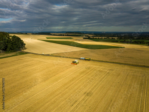 Aerial drone view of a harvester in Germany, close to Frankfurt