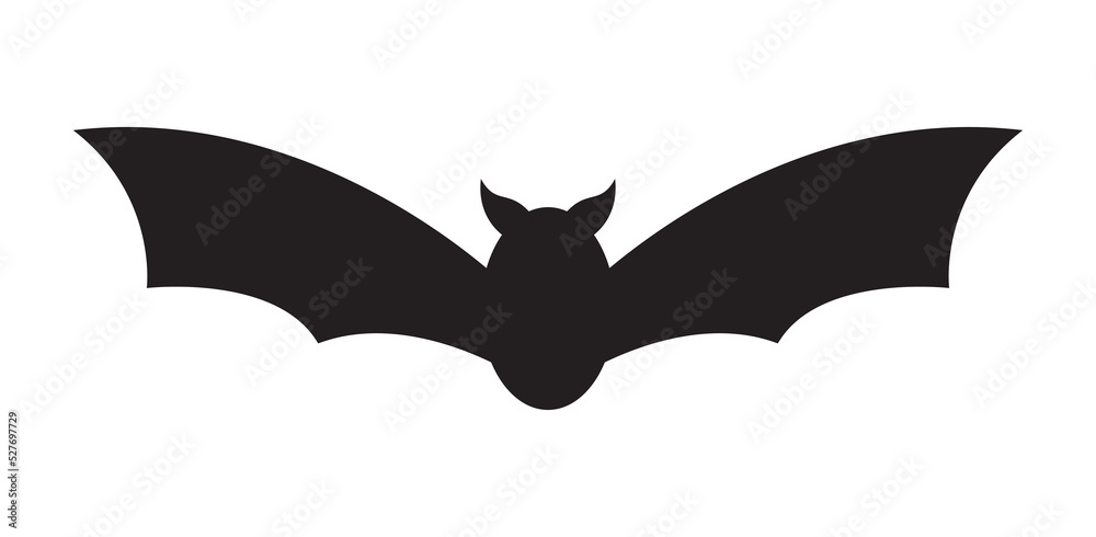 Fototapeta premium Bat isolated on white background