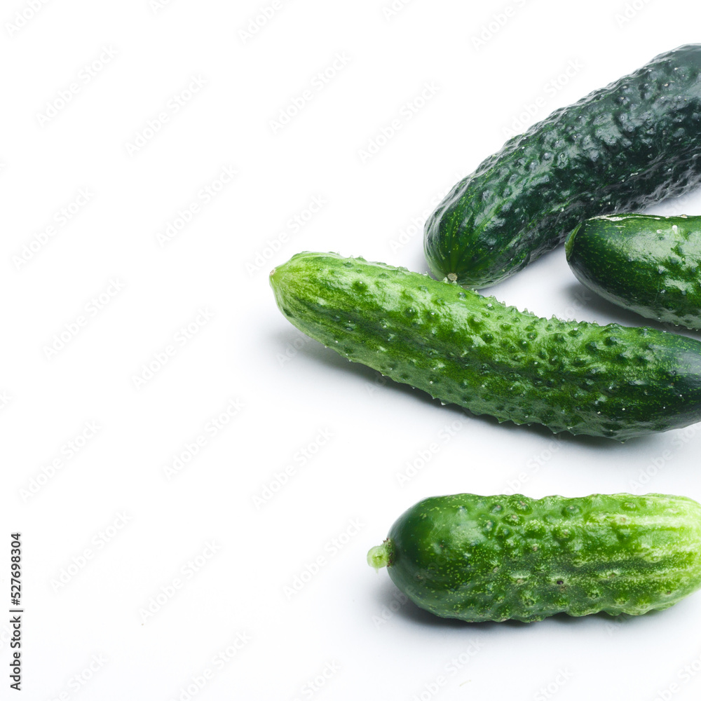 Ripe fresh green cucumber isolated on a white background Ripe fresh green cucumber isolated on a white background