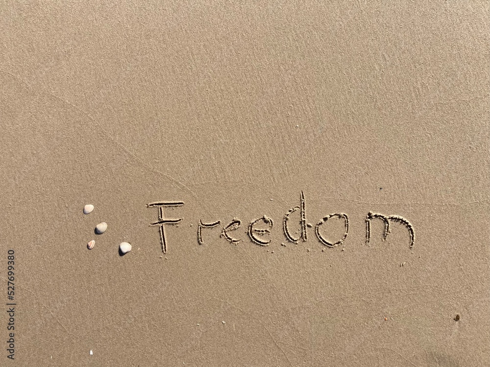 Fototapeta premium on the beach is carved with letters in the smooth sand the writing freedom