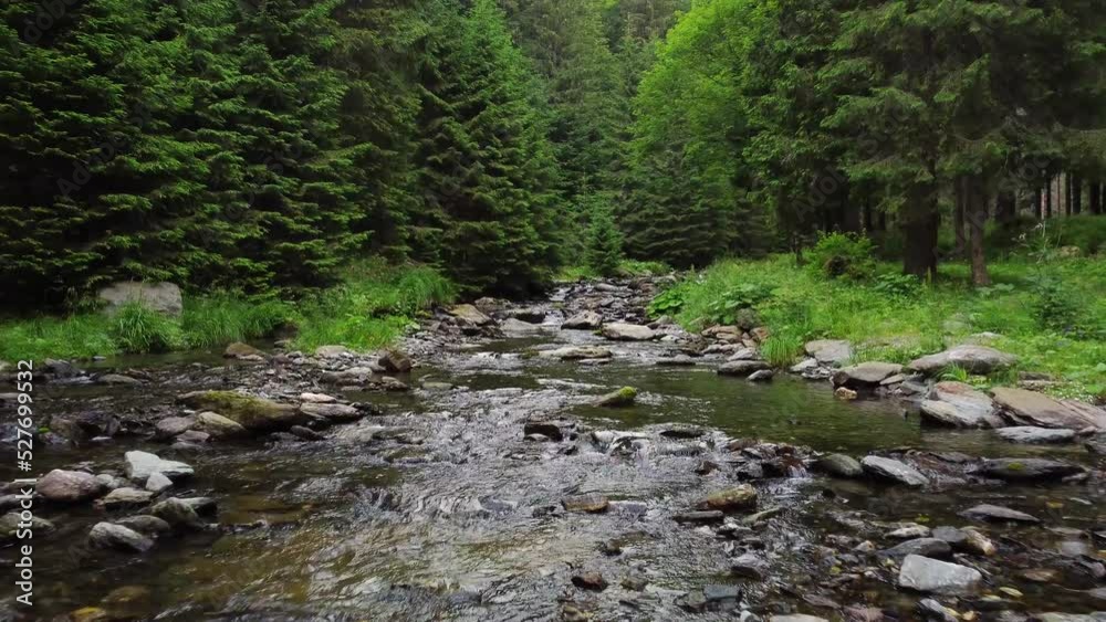 AERIAL: Water flows through the stones. The sun shines through the trees. Willows along the creek. AERIAL: Water flows through the stones. The sun shines through the trees. Willows along the creek.