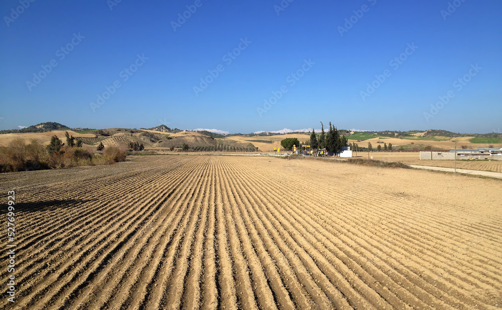 Fototapeta premium A plowed field for sowing sunflowers
