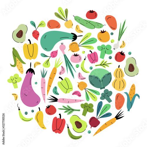 Fresh vegetables, carrot, eggplant, pepper, leaf, onion, radish, organic grocery